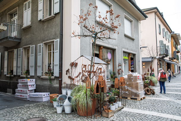 Blooms of Visp