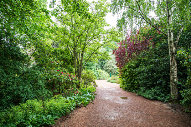 Palace Garden Path