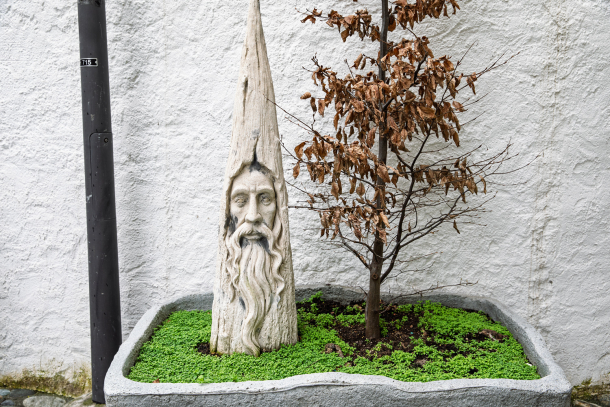 Carved Stone Faces