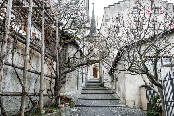 Vines and Pathways